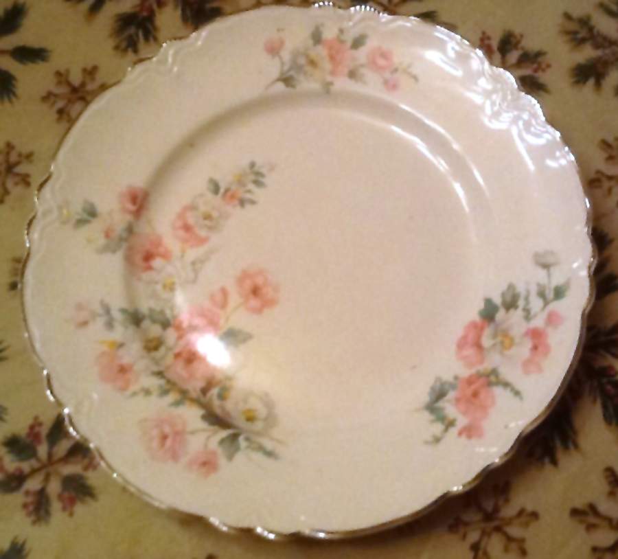 HLC116 Dinner Plate by Homer Laughlin -1