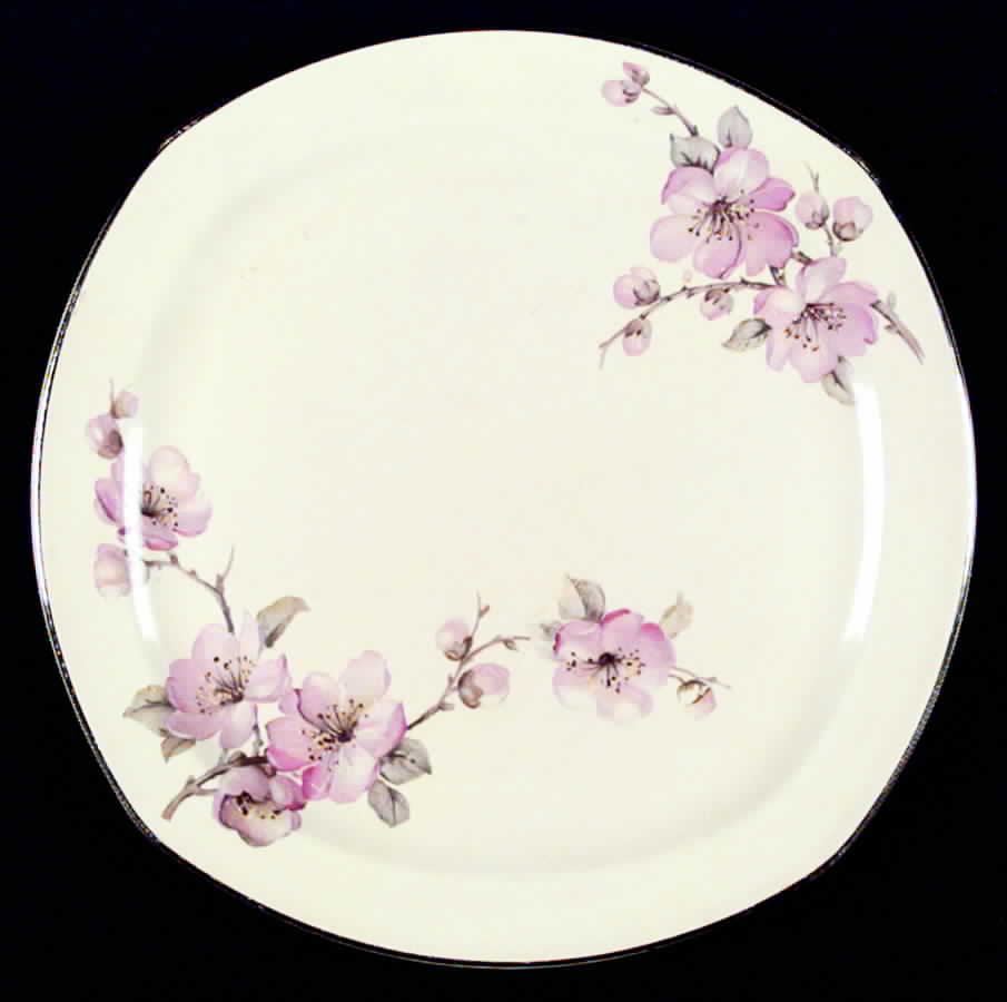 J201 Dinner Plate by Homer Laughlin -1