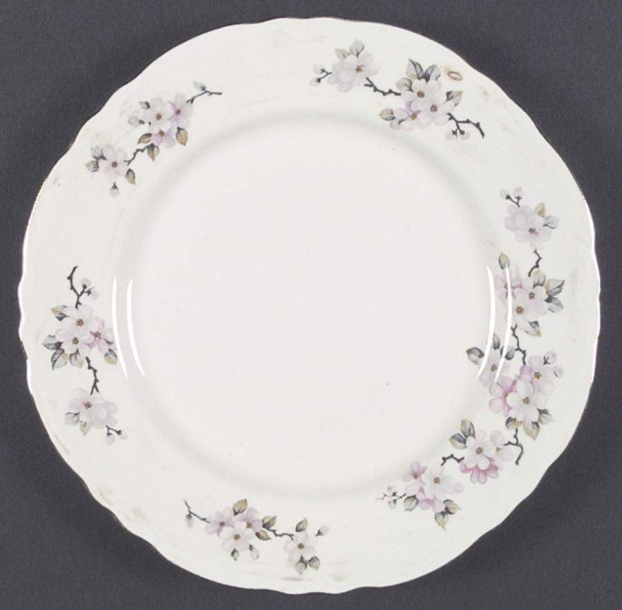 R5334 Dinner Plate by Homer Laughlin -1