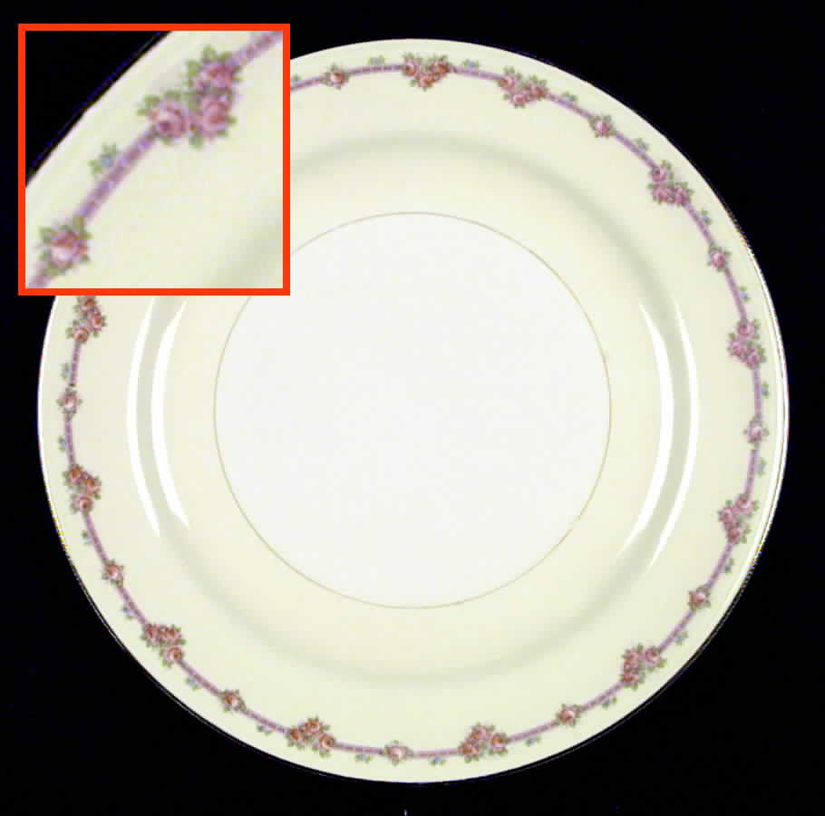 G169 Dinner Plate by Homer Laughlin -1