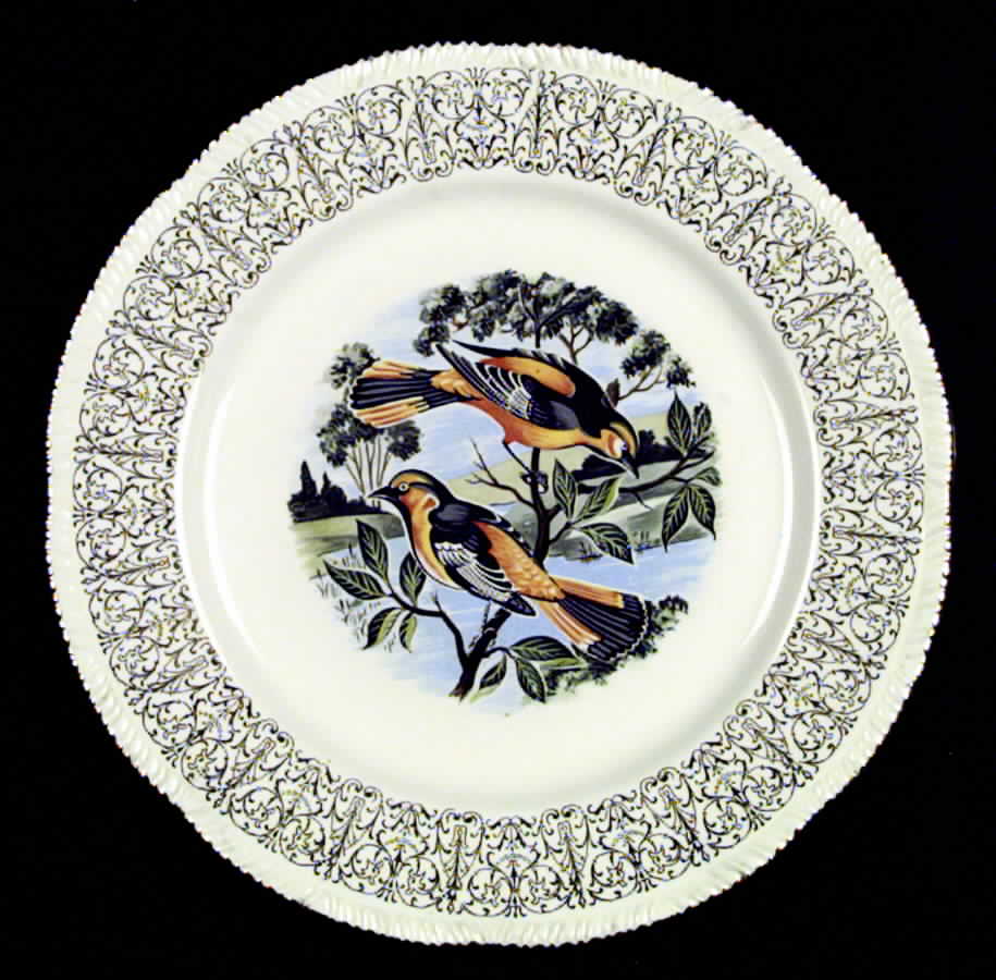 HLC189 Dinner Plate by Homer Laughlin -1