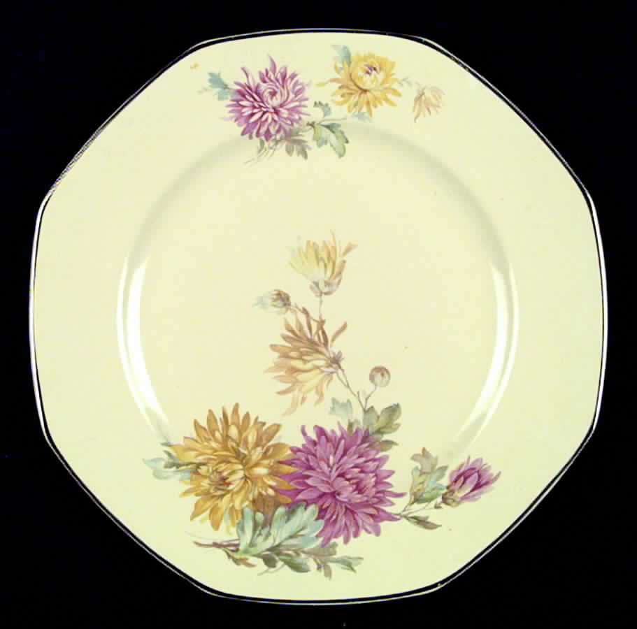 HLC190 Dinner Plate by Homer Laughlin -1