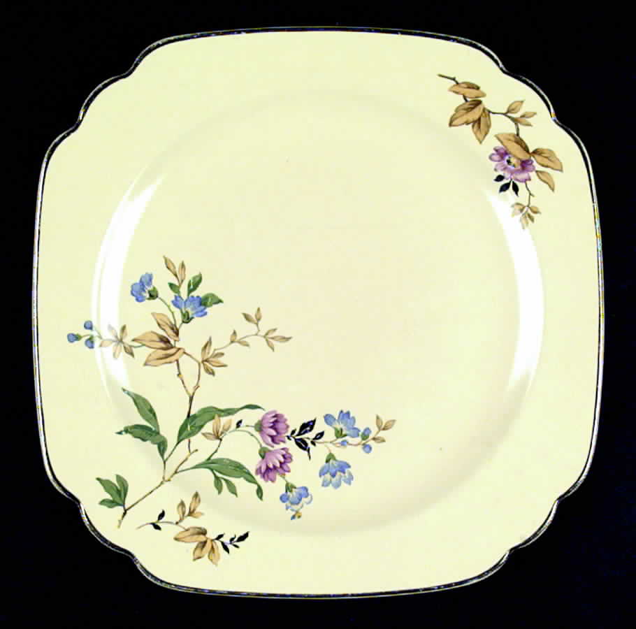 C3 Dinner Plate by Homer Laughlin -1