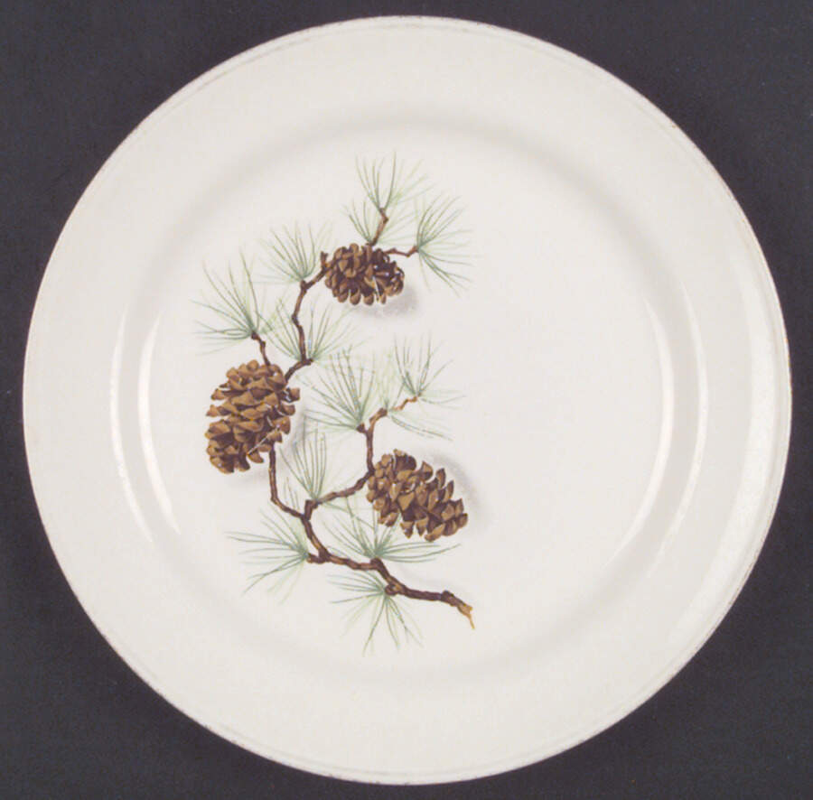 HLC204 Dinner Plate by Homer Laughlin -1