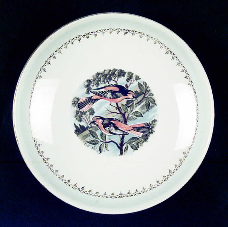 FP67 Coupe Soup Bowl by Homer Laughlin -1