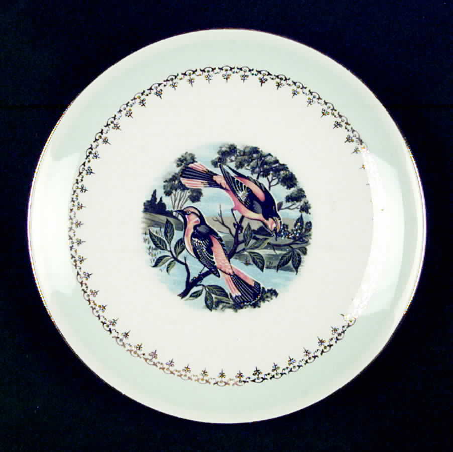 FP67 Salad Plate by Homer Laughlin -1