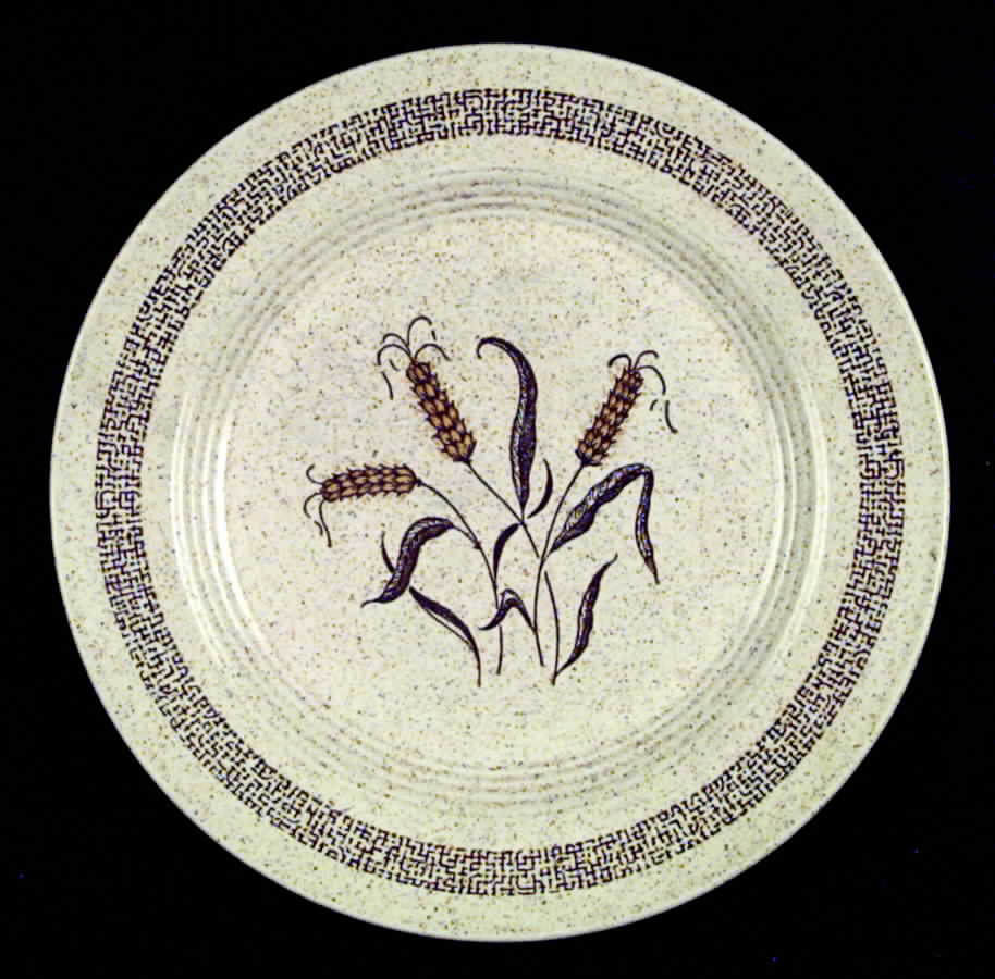 HLC218 Dinner Plate by Homer Laughlin -1