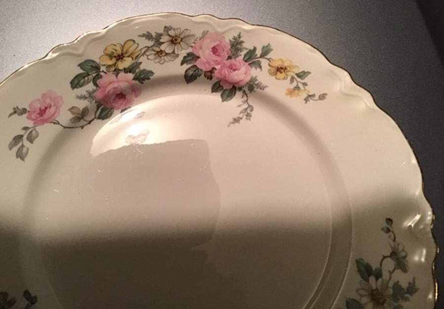 HLC245 Dinner Plate by Homer Laughlin -1