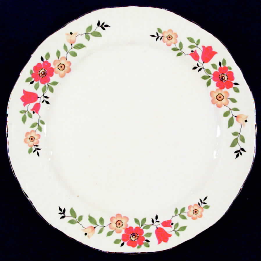 HLC247 Dinner Plate by Homer Laughlin -1