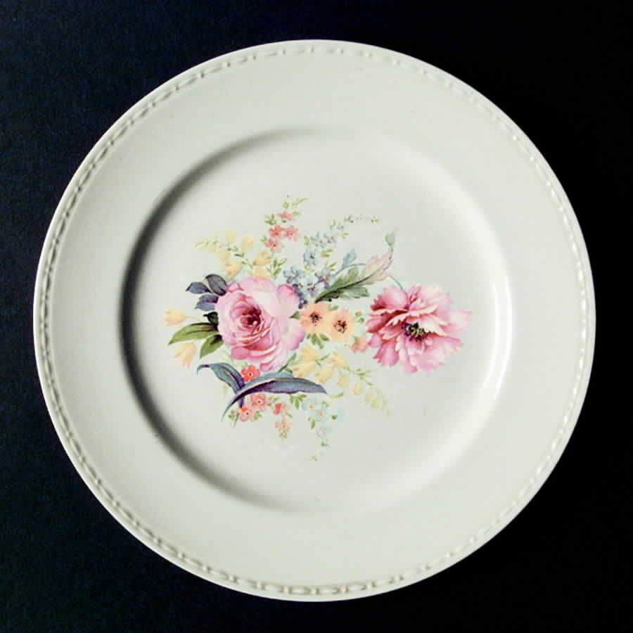 HLC261 Dinner Plate by Homer Laughlin -1