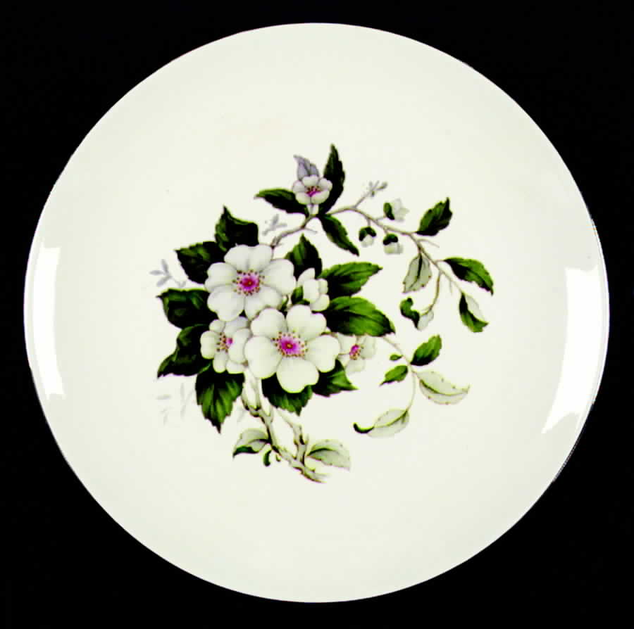 HLC263 Dinner Plate by Homer Laughlin -1