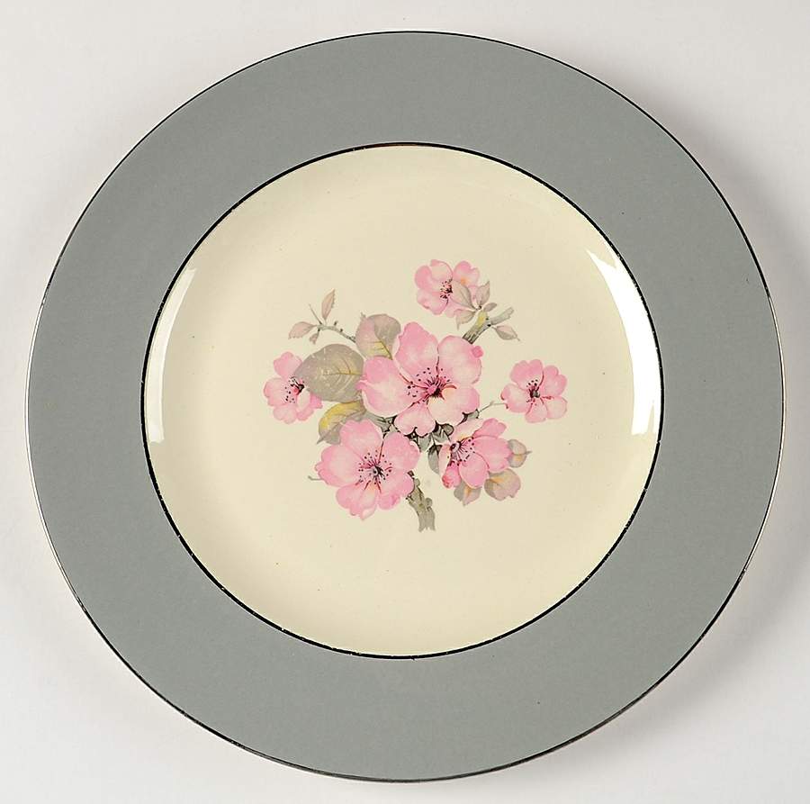 CV17 Dinner Plate by Homer Laughlin -1