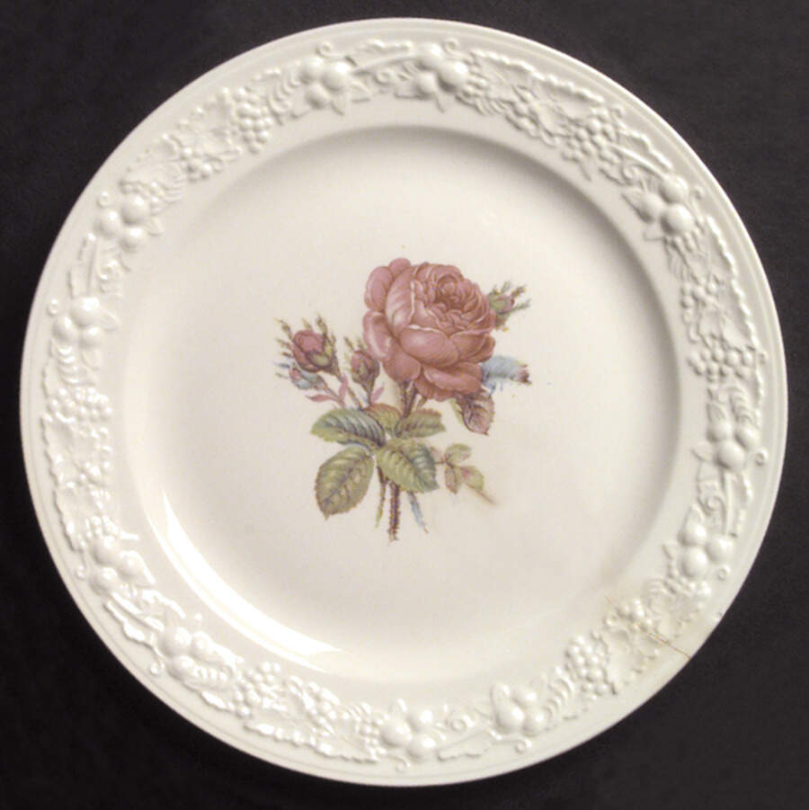 TH1 Dinner Plate by Homer Laughlin -1