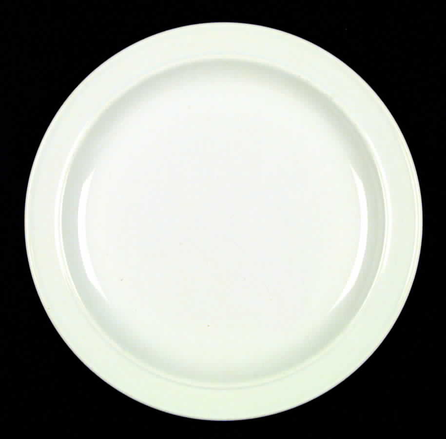 HLC29 Dinner Plate by Homer Laughlin -1