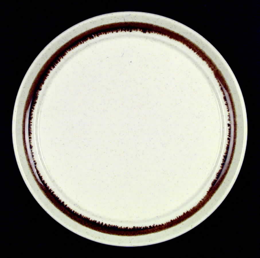 HLC300 Dinner Plate by Homer Laughlin -1