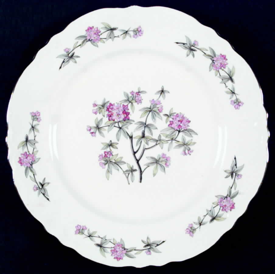 HLC310 Dinner Plate by Homer Laughlin -1
