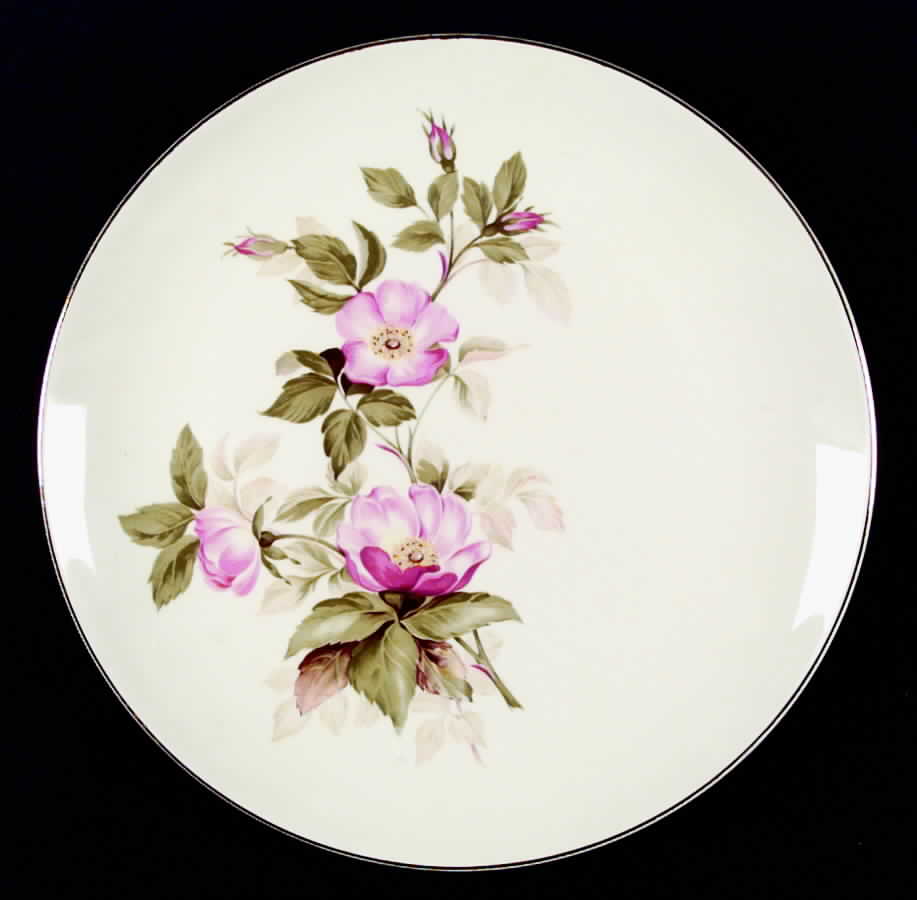 HLC312 Dinner Plate by Homer Laughlin -1