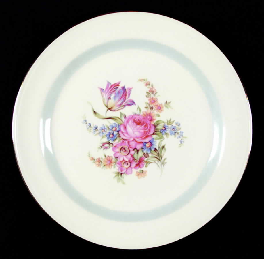 HLC347 Dinner Plate by Homer Laughlin -1