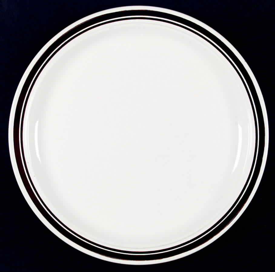HLC350 Dinner Plate by Homer Laughlin -1