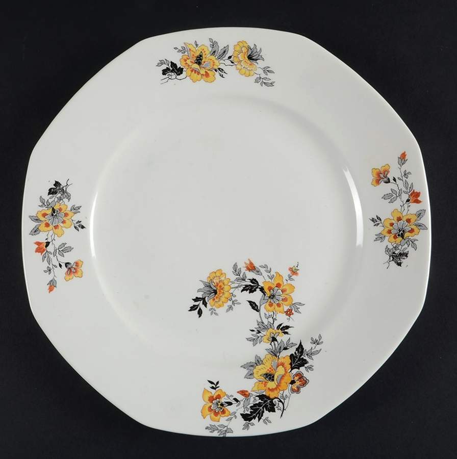 HLC375 Dinner Plate by Homer Laughlin -1