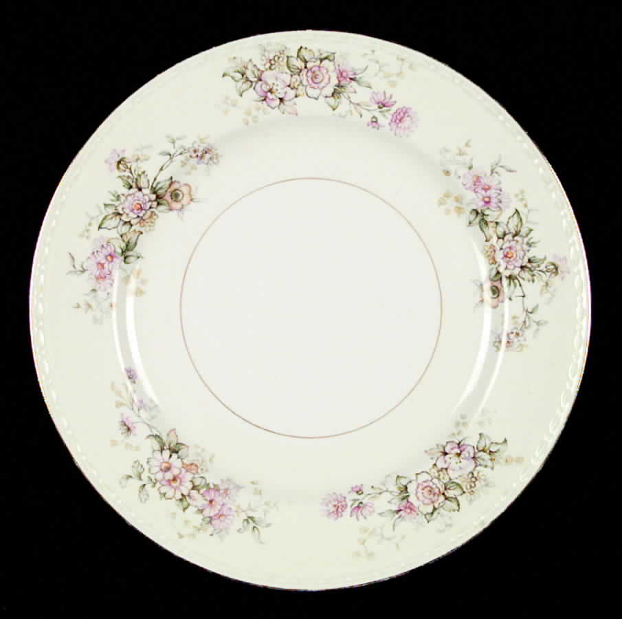 HLC376 Dinner Plate by Homer Laughlin -1