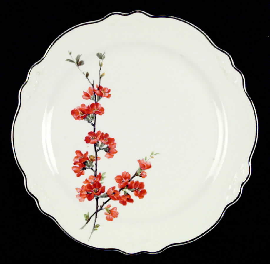 HLC399 Dinner Plate by Homer Laughlin -1