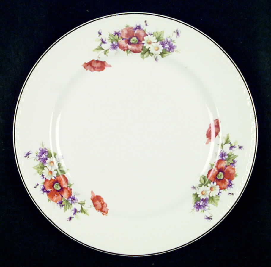 HLC407 Dinner Plate by Homer Laughlin -1