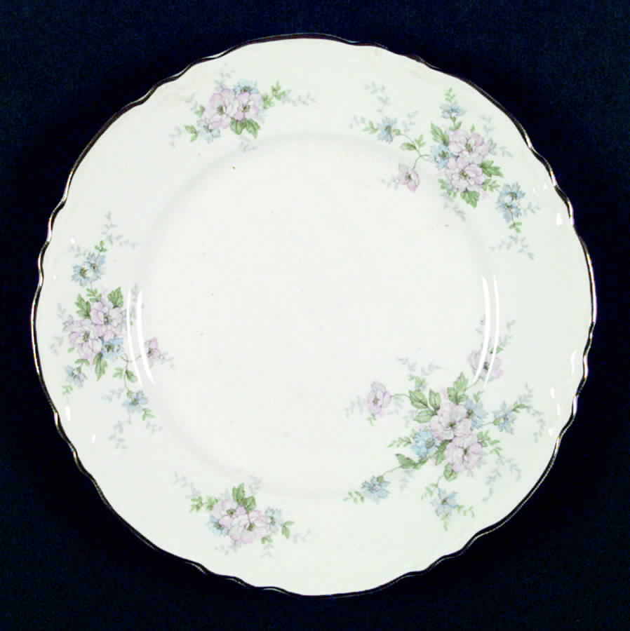 R1434 Dinner Plate by Homer Laughlin -1
