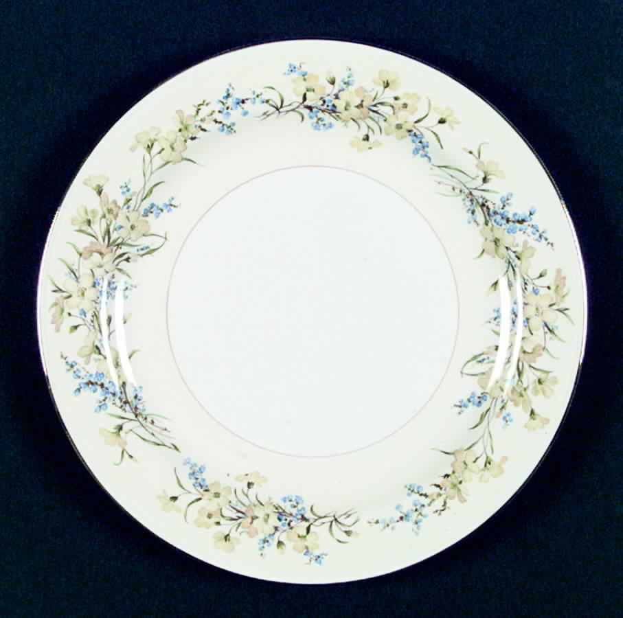 N1576 Dinner Plate by Homer Laughlin -1