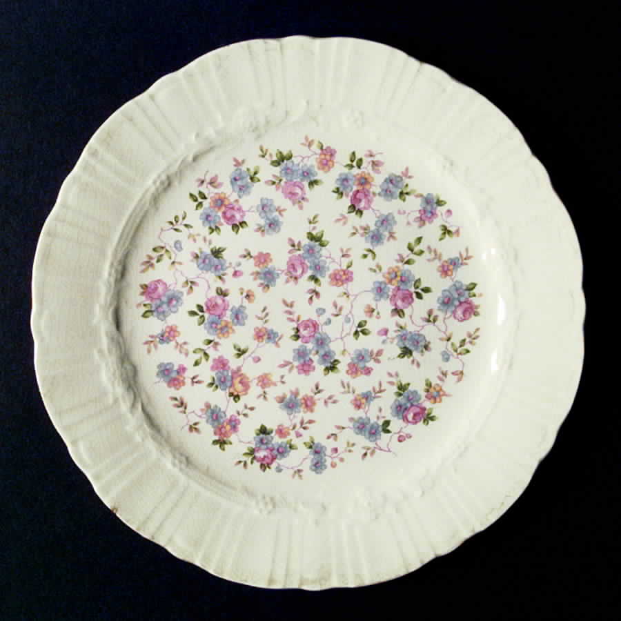 CO118 Dinner Plate by Homer Laughlin -1