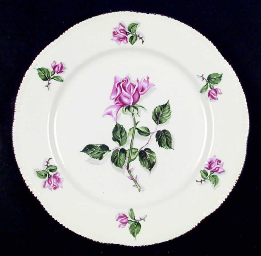 HLC423 Dinner Plate by Homer Laughlin -1