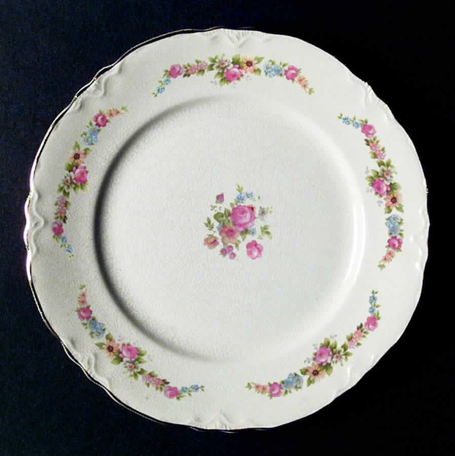 HLC435 Dinner Plate by Homer Laughlin -1