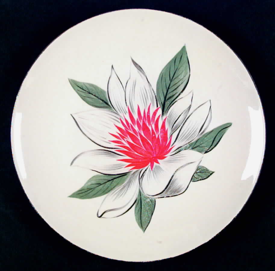 RY164 Dinner Plate by Homer Laughlin -1