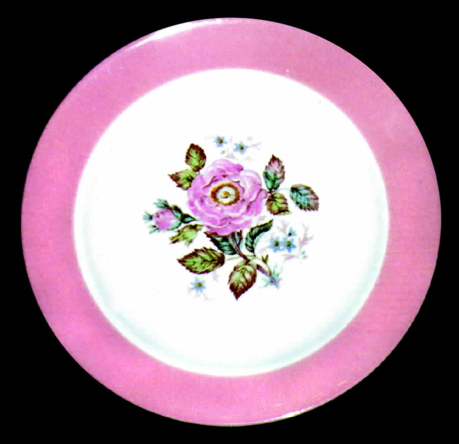 HLC467 Dinner Plate by Homer Laughlin -1