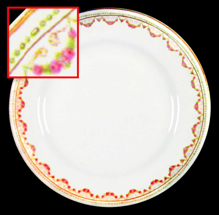 HLC477 Dinner Plate by Homer Laughlin -1