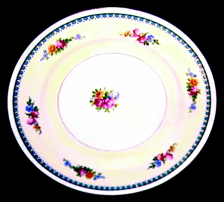 HLC480 Dinner Plate by Homer Laughlin -1
