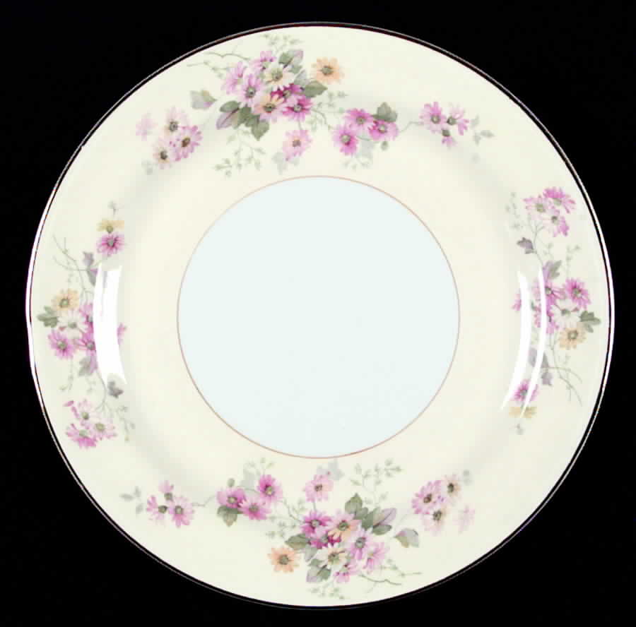 N1669 Dinner Plate by Homer Laughlin -1