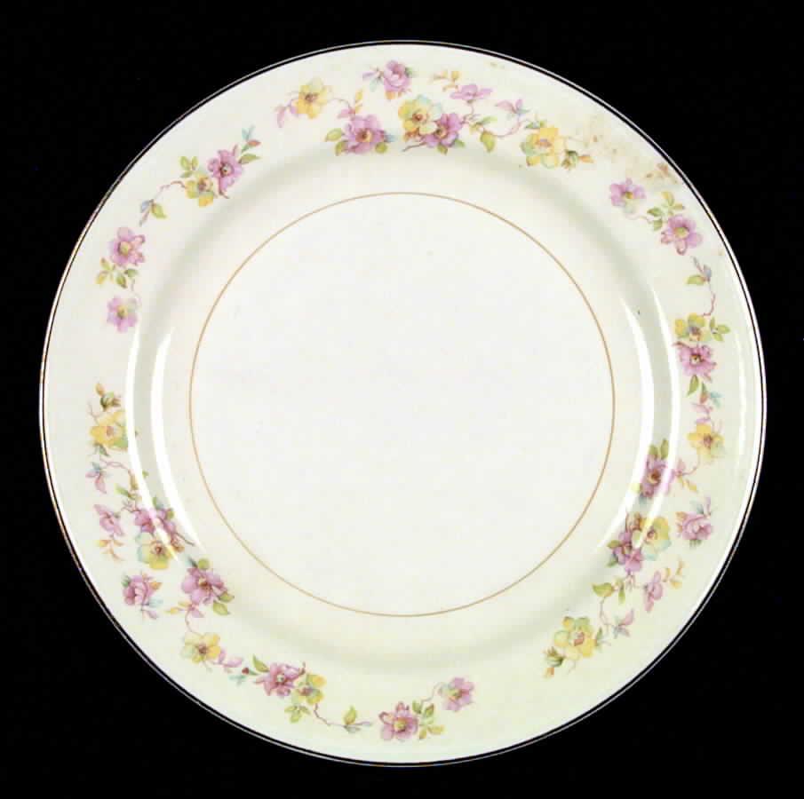 N1575 Dinner Plate by Homer Laughlin -1