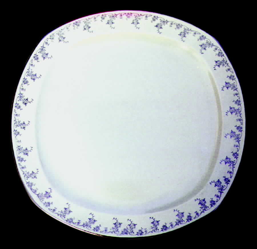 HLC491 Dinner Plate by Homer Laughlin -1