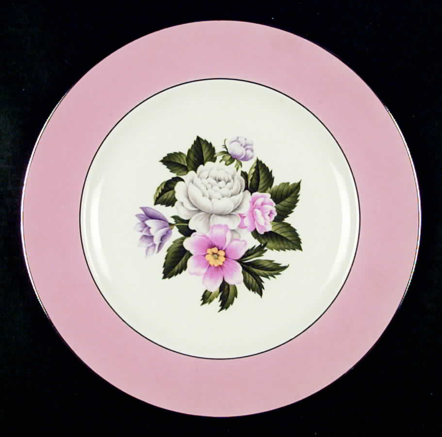 HLC506 Dinner Plate by Homer Laughlin -1
