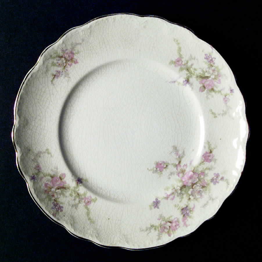 H1804 Dinner Plate by Homer Laughlin -1