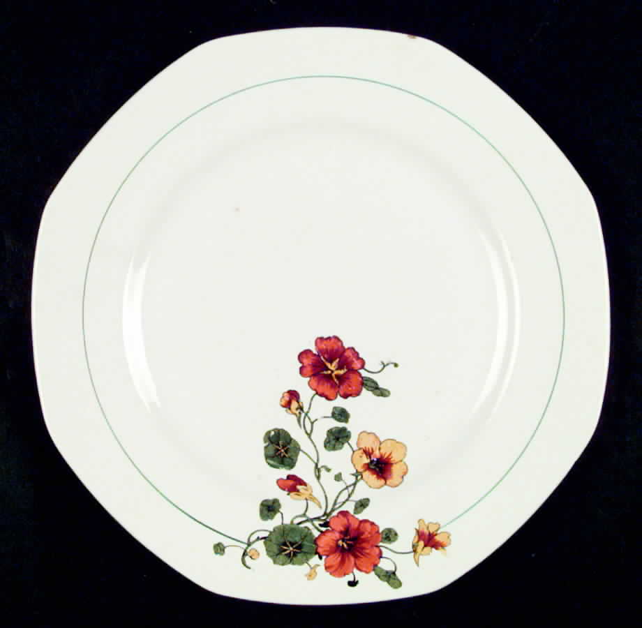 HLC518 Dinner Plate by Homer Laughlin -1