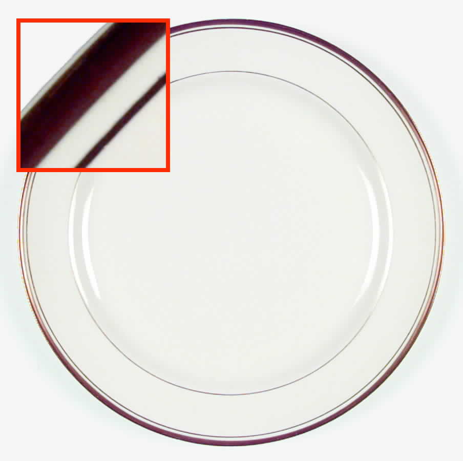 HLC535 Dinner Plate by Homer Laughlin -1