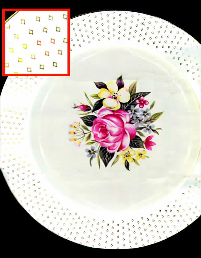 FP163 Dinner Plate by Homer Laughlin -1