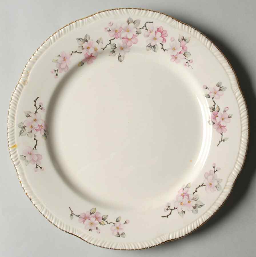 HLC557 Dinner Plate by Homer Laughlin -1