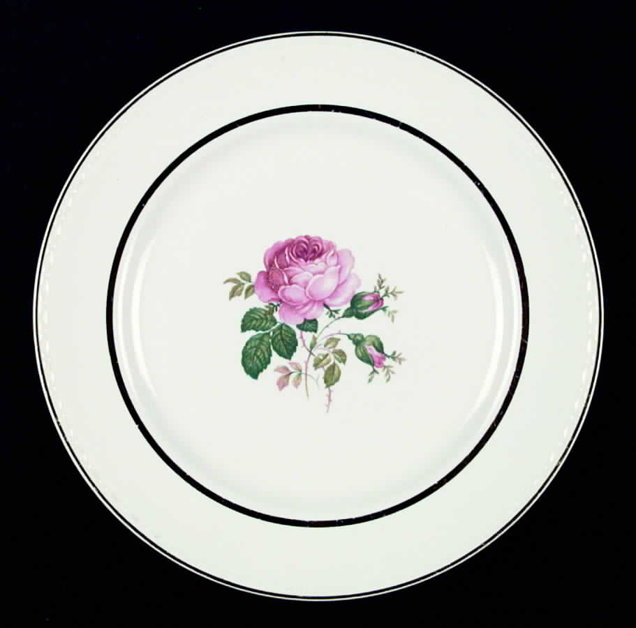 HLC562 Dinner Plate by Homer Laughlin -1