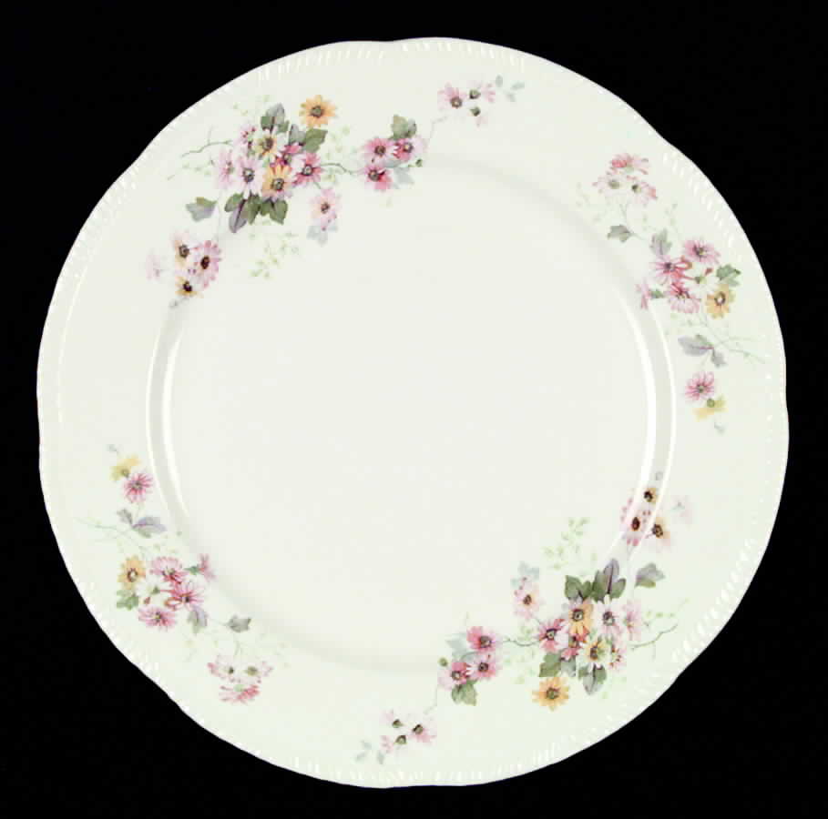 HLC578 Dinner Plate by Homer Laughlin -1