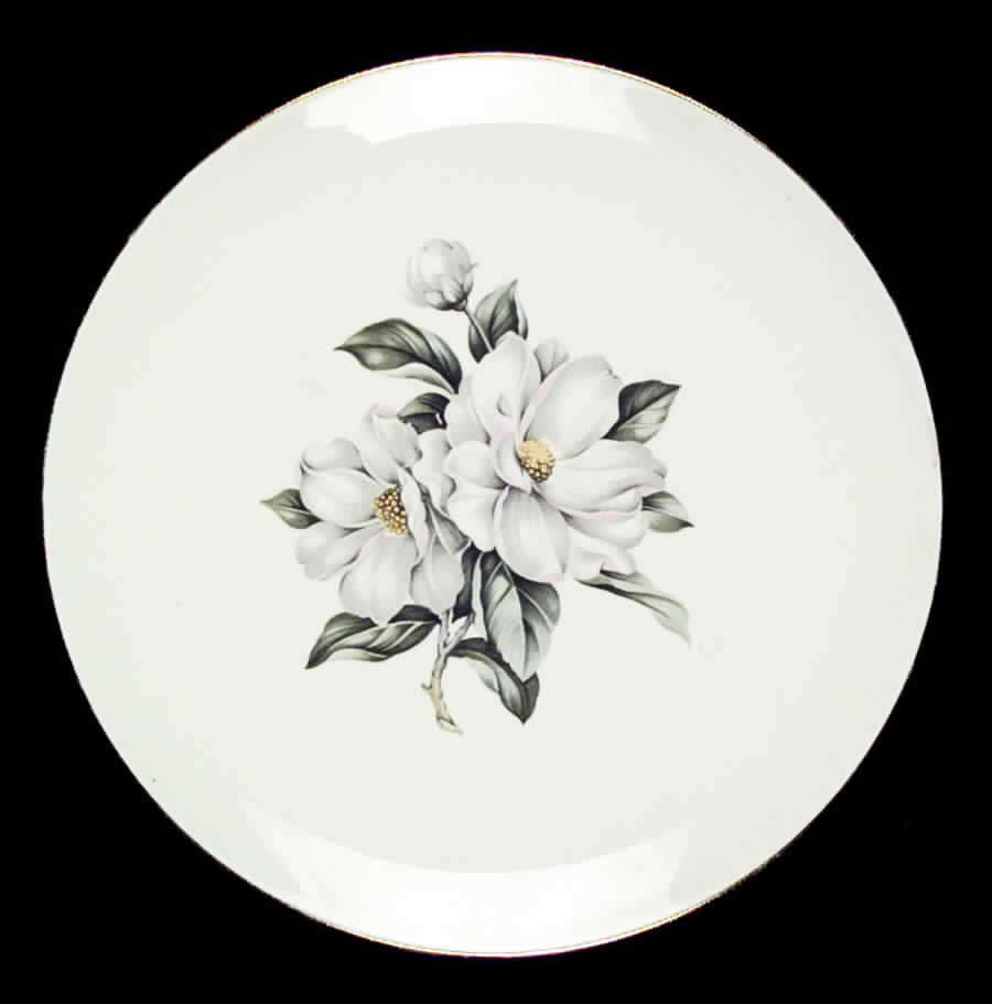 HLC580 Dinner Plate by Homer Laughlin -1