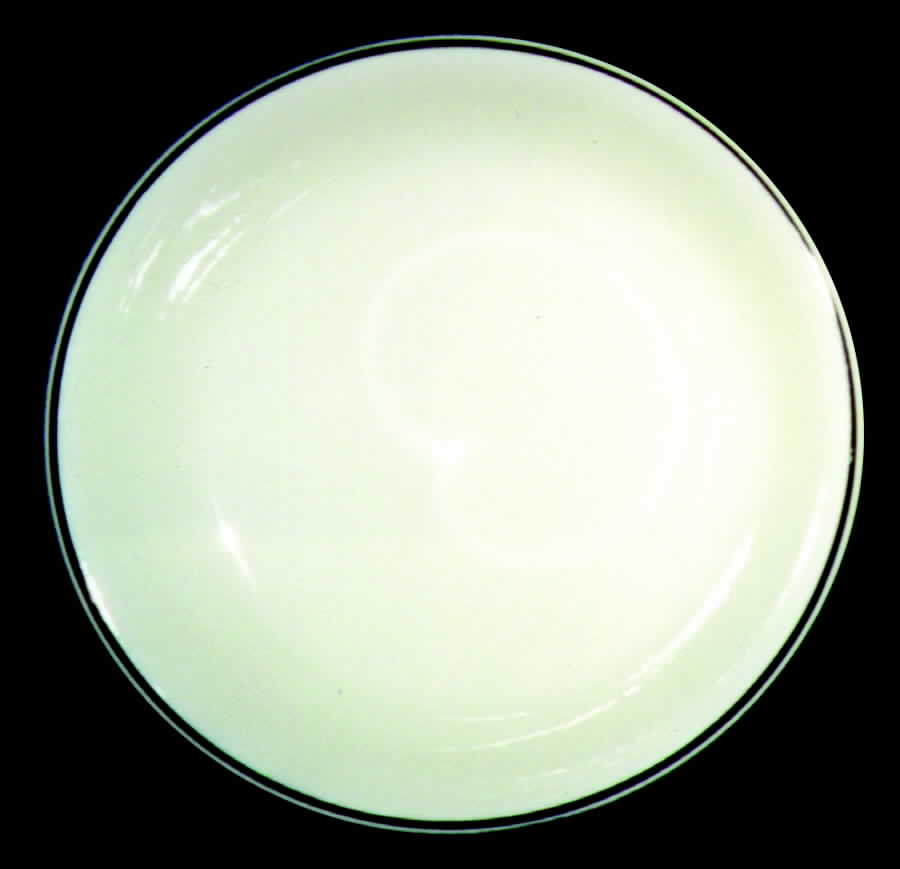 HLC590 Dinner Plate by Homer Laughlin -1