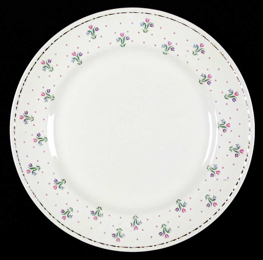 HLC605 Dinner Plate by Homer Laughlin -1